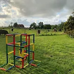 Immerlicht S-h
