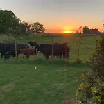Immerlicht S-h Nyaraló *