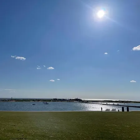 Immerlicht S-h 诺德代希