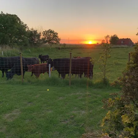 Immerlicht S-h 度假居