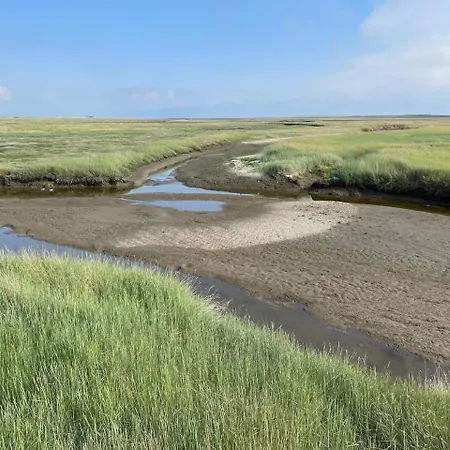 Immerlicht S-h * 诺德代希