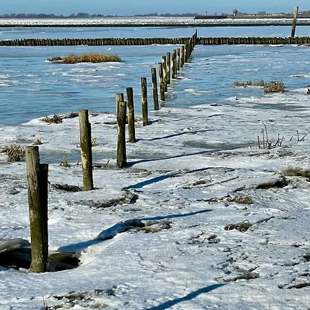 Immerlicht S-h 度假居 *